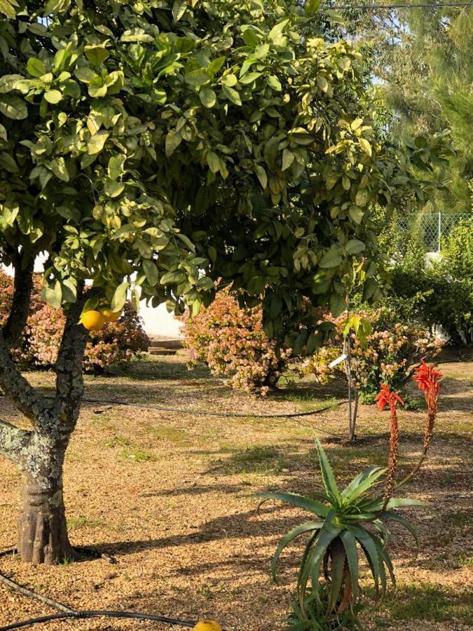 Quinta Verde Albufeira Kültér fotó