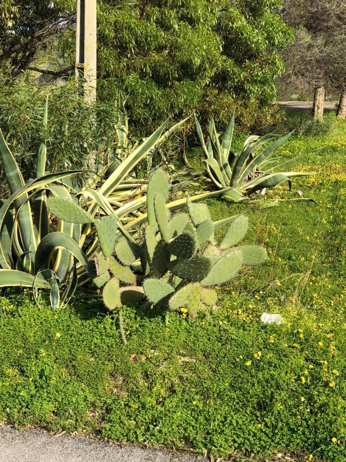 Quinta Verde Albufeira Kültér fotó