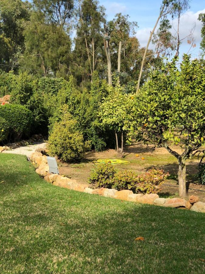 Quinta Verde Albufeira Kültér fotó