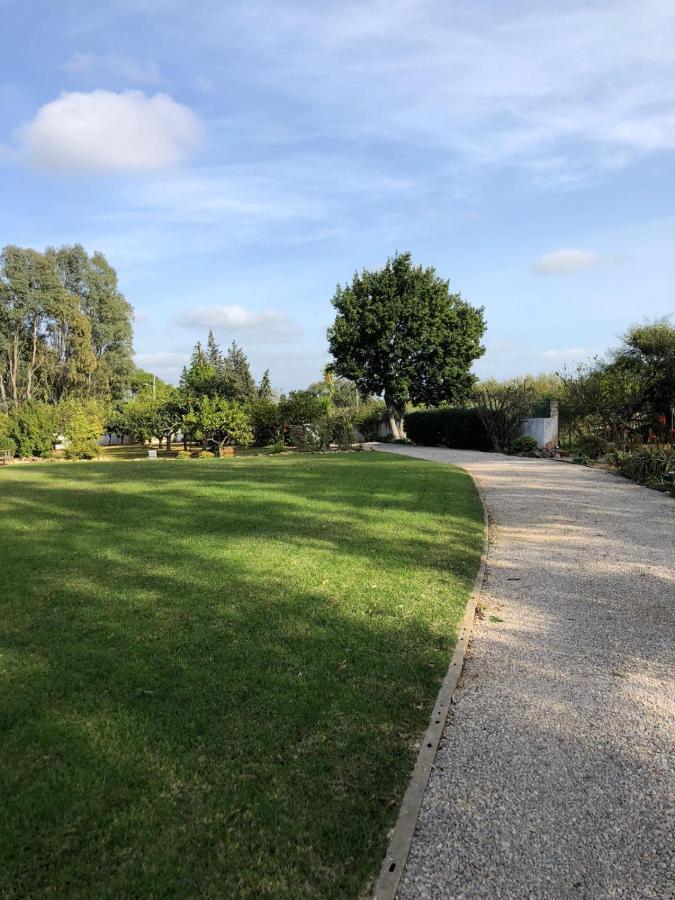 Quinta Verde Albufeira Kültér fotó